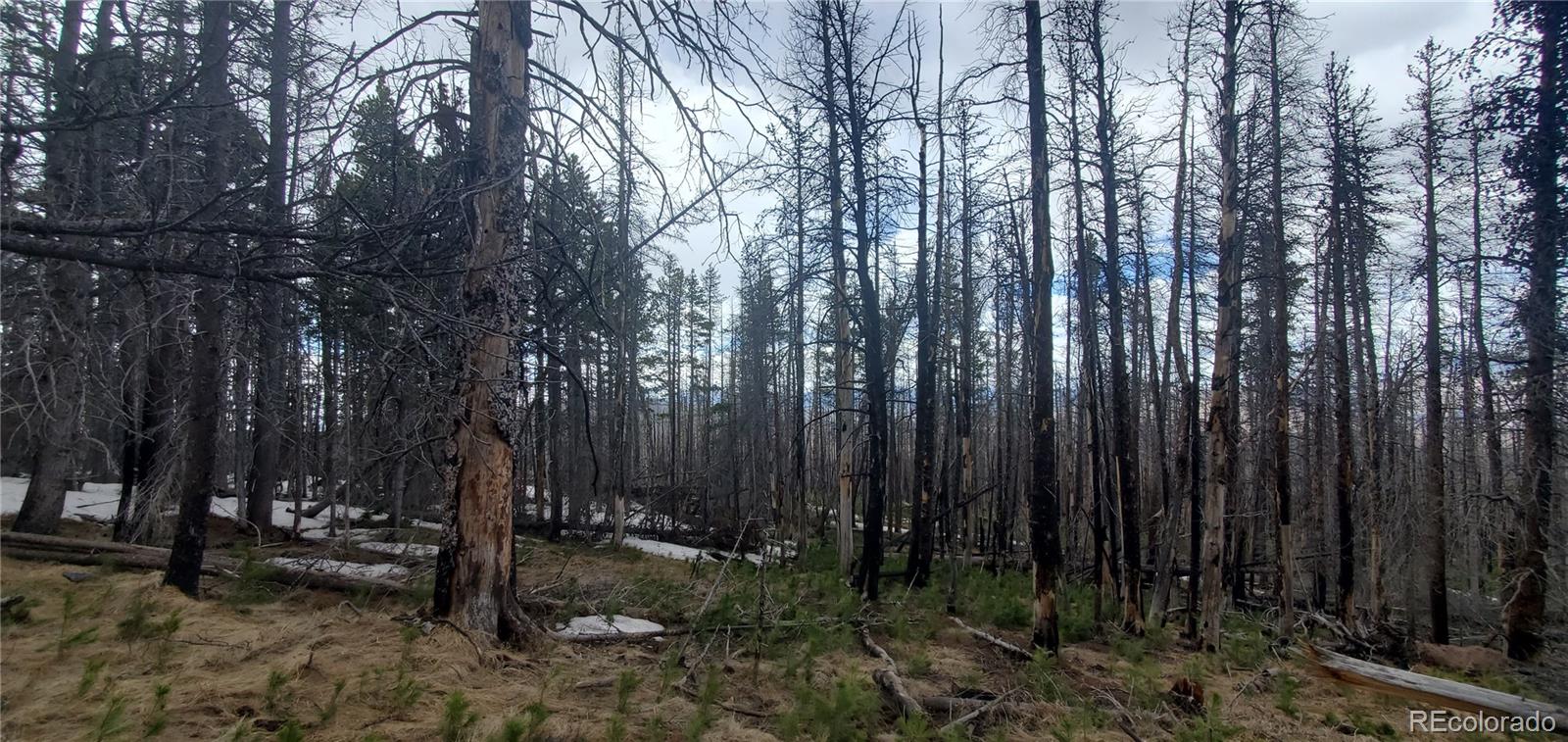 Lot 2738 Newman Place