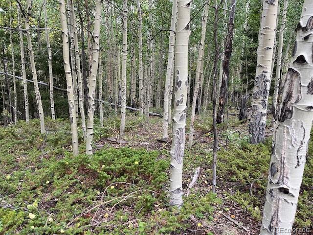 Lot 6184 Ryland Road
