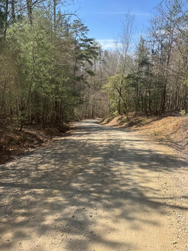 Great wooded lot with nice building spot, AND WONDERFUL VIEWS,  IN THE MOUNTAINS OF NORTH CAROLINA!! Build your dream house on this nice laying lot.   Located near Nantahala National Forest.  Near Fires Creek and lake Chatuge as well as Murphy NC and Hayesville.