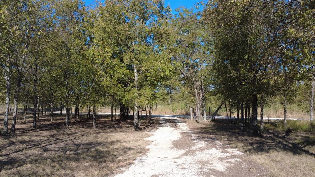 4902 County Road 2397