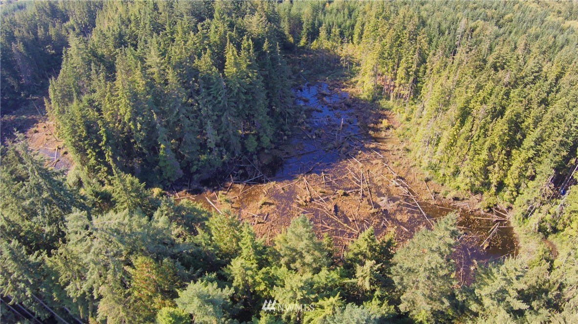 5520 Pilchuck Tree Farm Road