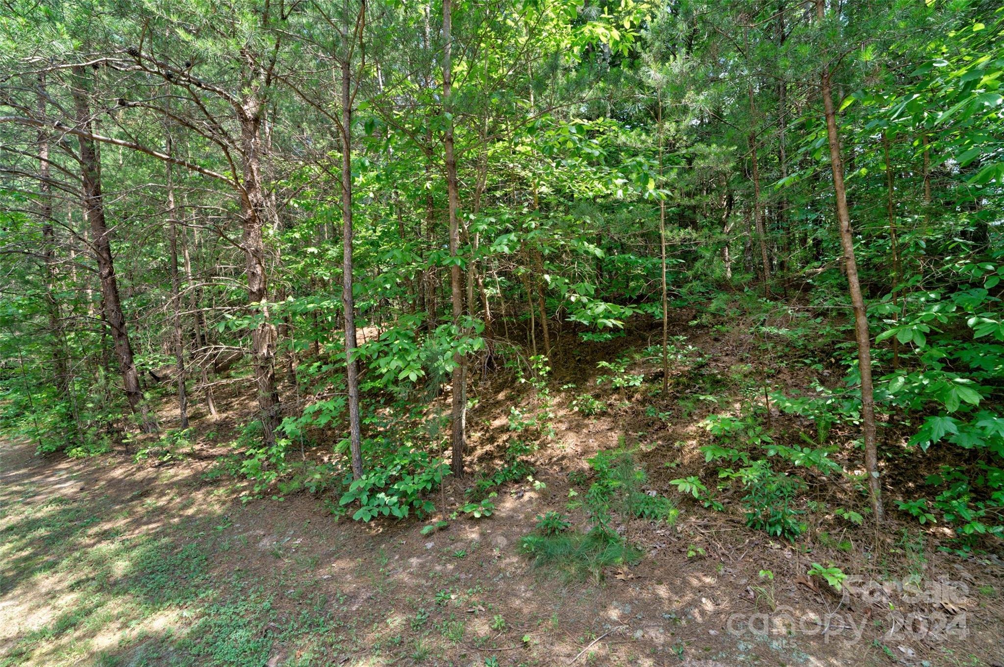 1603 Southpointe Drive 226