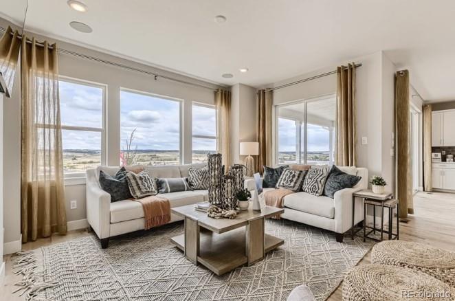 13265 Blue Amber Court