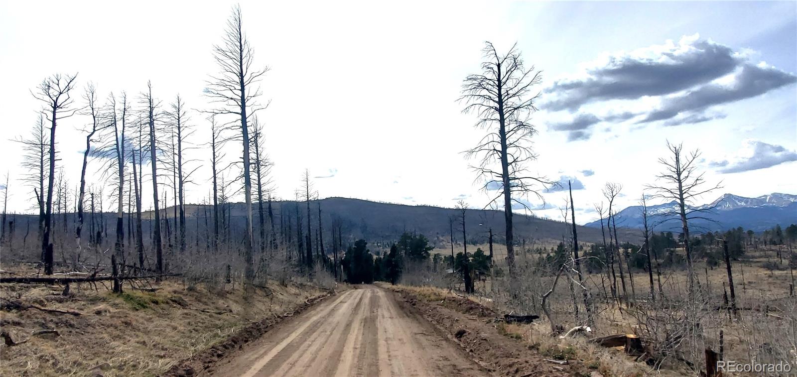 lot 1223 Emery Loop