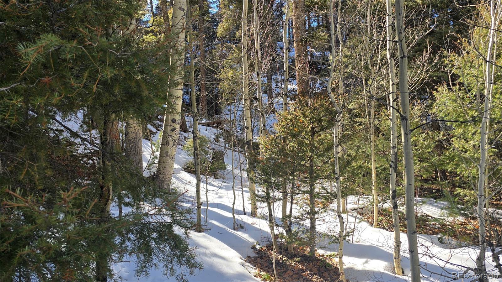 Lot 5540 Joy Road