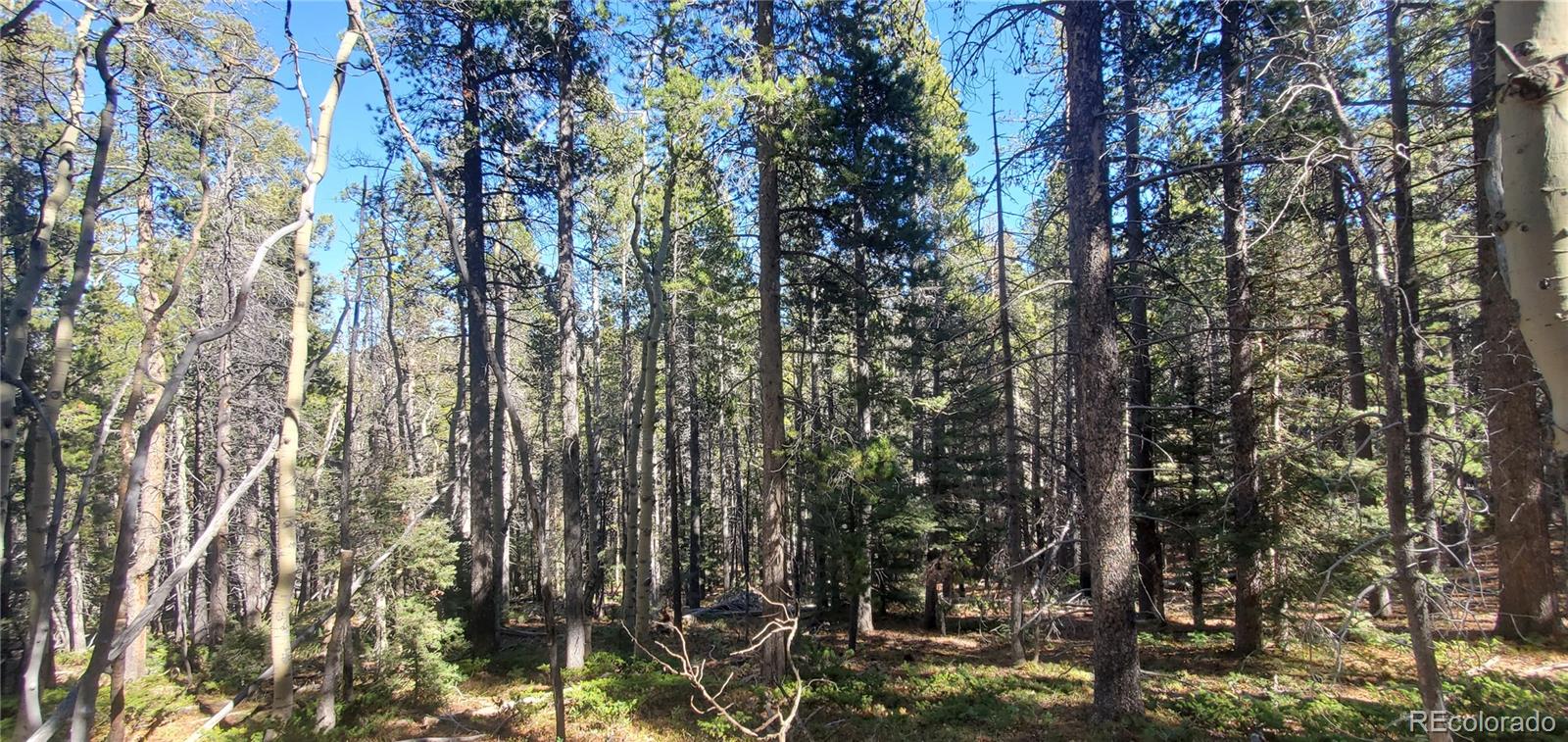 Lot 3023 & 3024 Bolwell Lane