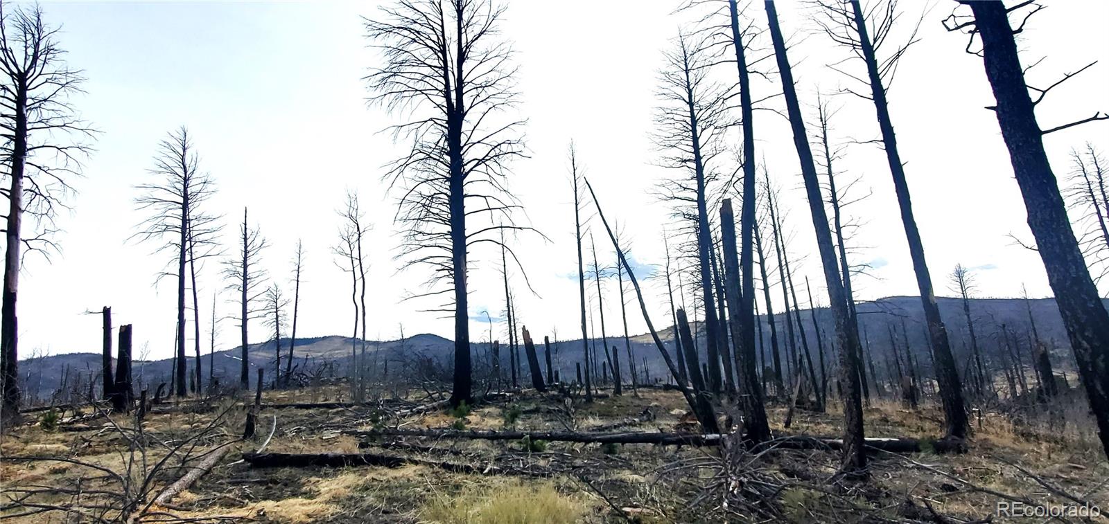 lot 1223 Emery Loop