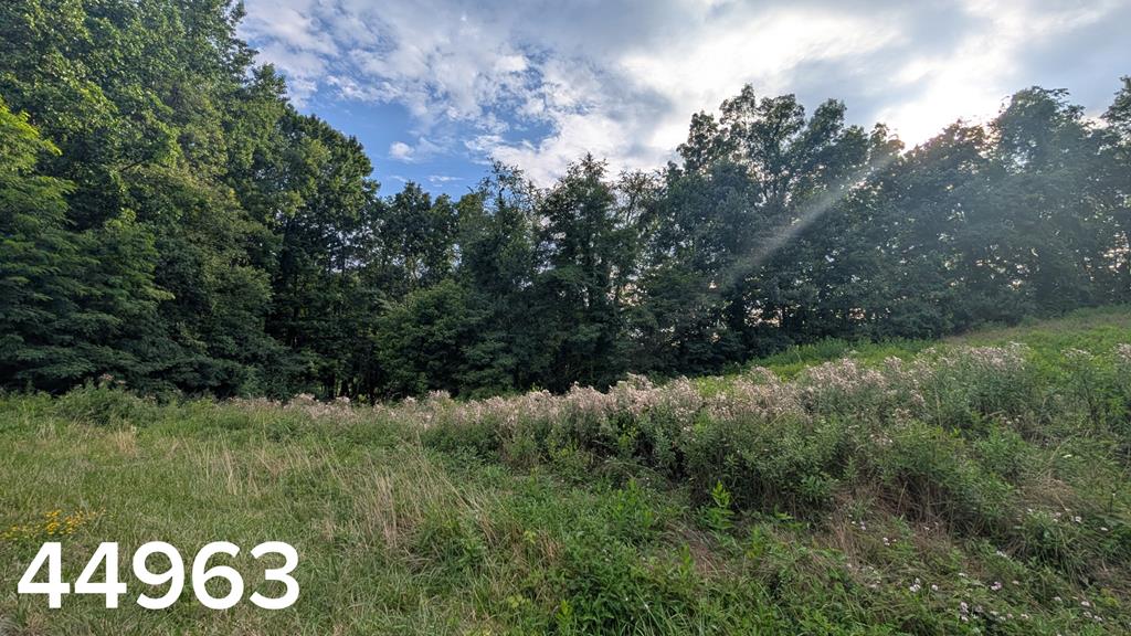 Discover the opportunity to build your dream home in Olde Trail Village, a desirable neighborhood conveniently located near the Town of Abingdon. These beautiful building lots offer a peaceful setting with a mix of cleared and wooded landscapes, while still providing easy access to shopping, dining, outdoor recreation, and Interstate 81. Enjoy the convenience of available underground utilities, including public water, sewer, and electric, along with paved county road access. Located in the highly sought-after Abingdon area, Old Trail Village offers the perfect blend of privacy and accessibility. Whether you are looking to build your forever home or invest in property, these lots provide an excellent opportunity to become part of this growing community.