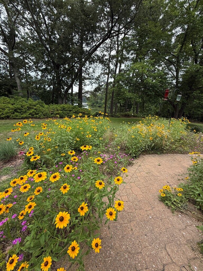 2483 Pond Drain Dr 13