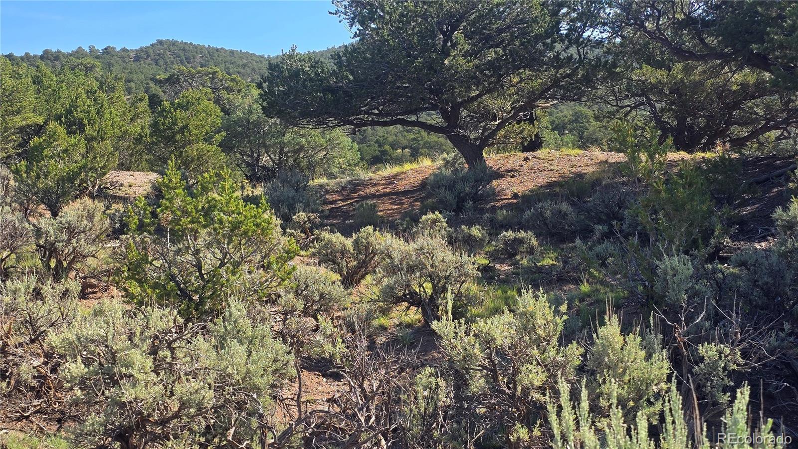 Lot 4296 Renfield Road