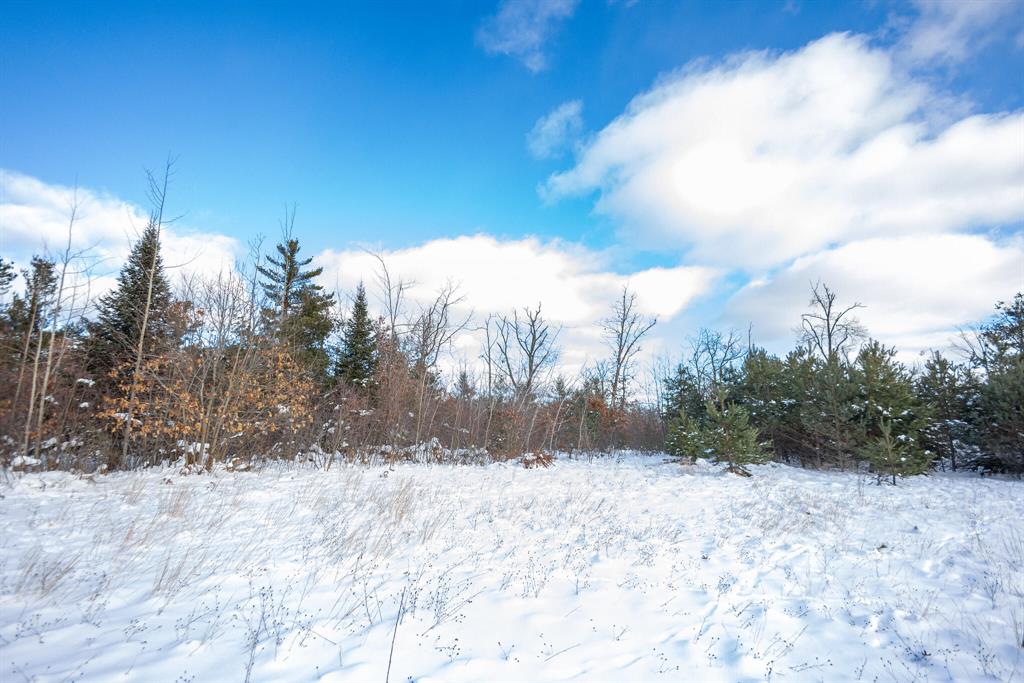 Check out this prime commercial opportunity in Montmorency County. This 10.23-acre tract sits just outside Lewiston and offers strong potential for a wide range of uses. Classified as 302 - Industrial Vacant, the property supports industrial and light-industrial applications including warehouses, manufacturing, storage yards, contractor yards, and similar operations.The seller previously planned to develop storage units here, and the location aligns well with that type of project. The land is mostly wooded with mixed terrain, and it features generous road frontage along County Road 491, further expanding its development potential.If you're looking for a versatile industrial parcel in a high-visibility location near Lewiston, this one deserves a serious look! You won't be disappointed.