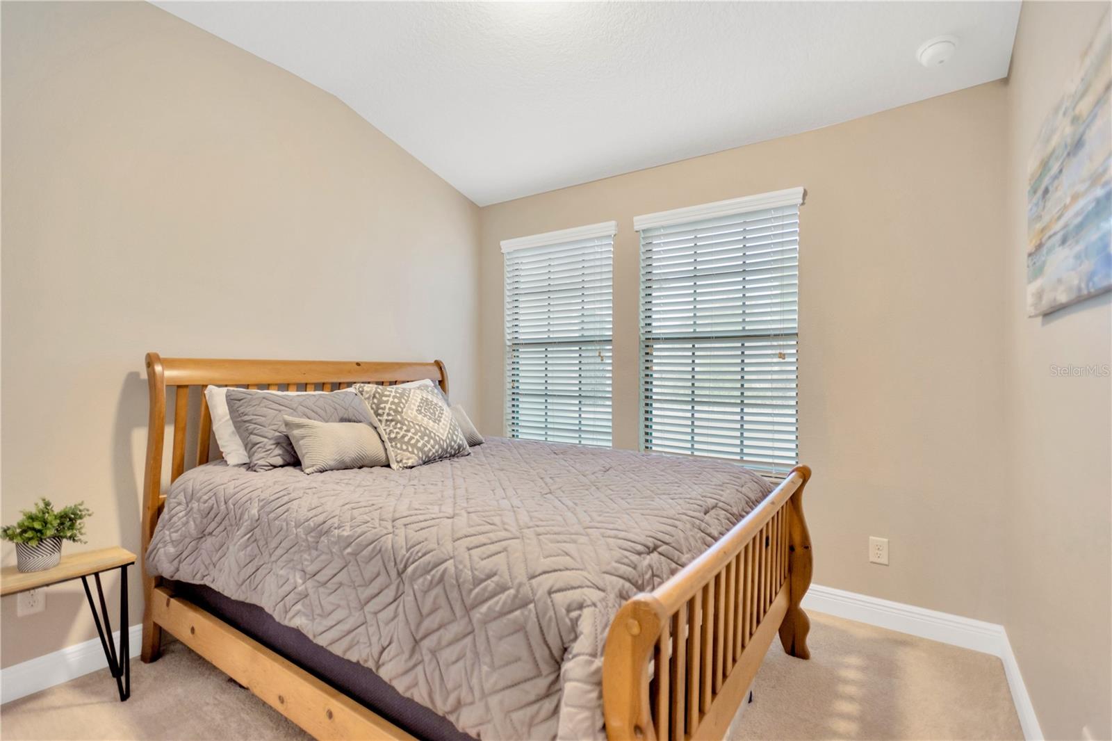 11632 Crowned Sparrow Lane
