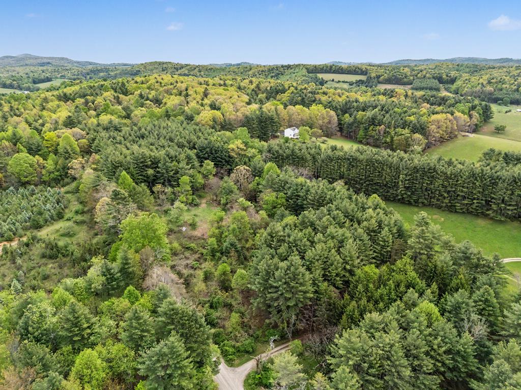 Here's your opportunity to own 3.736 acres of land in Floyd County, Virginia. No Restrictions. Enjoy privacy and fresh air. Perfect forbuilding a home, or using as a recreational property for your camper or RV. Could be cleared to provide pasture for livestock. Make this a minihomestead, plant gardens, fruit trees, and enjoy country living at its best. Electric pole on property, Citizens 5G fiber along Rocky Hill Rd. Only 20minutes to the Town of Floyd, 28 minutes to Hillsville and the Blue Ridge Parkway, and 40 minutes to Christiansburg.