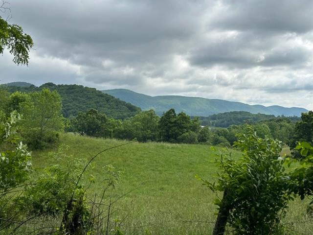 19.689 Acres with Great View in Blue Ridge Mountains. This property has a beautiful Appalachian Forest with mature trees, beautiful ferns, Rhododendron, large rock outcroppings and a strong mountain stream. It's absolutely full of wildlife, perfect for the hunter or naturalist. There is an open cleared area that could be used for a small amount of livestock and several good building sites. This property is located in close proximity to Jefferson National Forest, hiking and equestrian trails and not far from the New River, New River Trail, Grayson Highlands Park, trout fishing and all of the recreational opportunities the area has to provide.