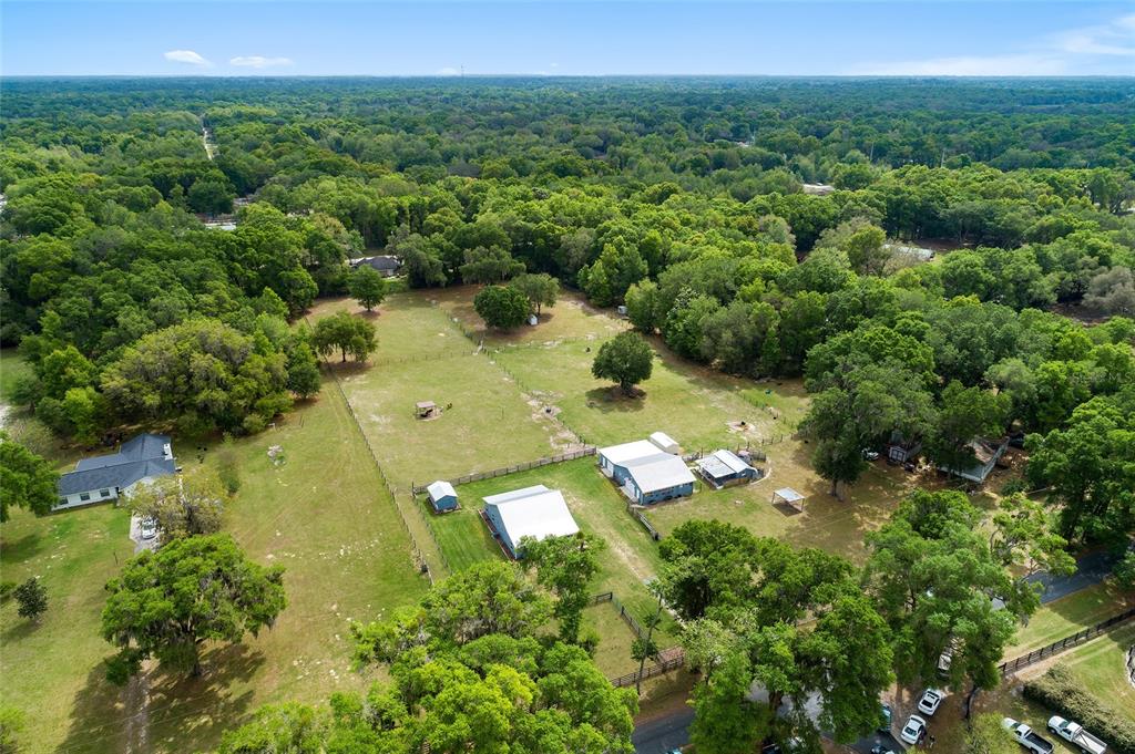 Farm for sale in Summerfield, FL 14245 SE 25th Avenue Showcase