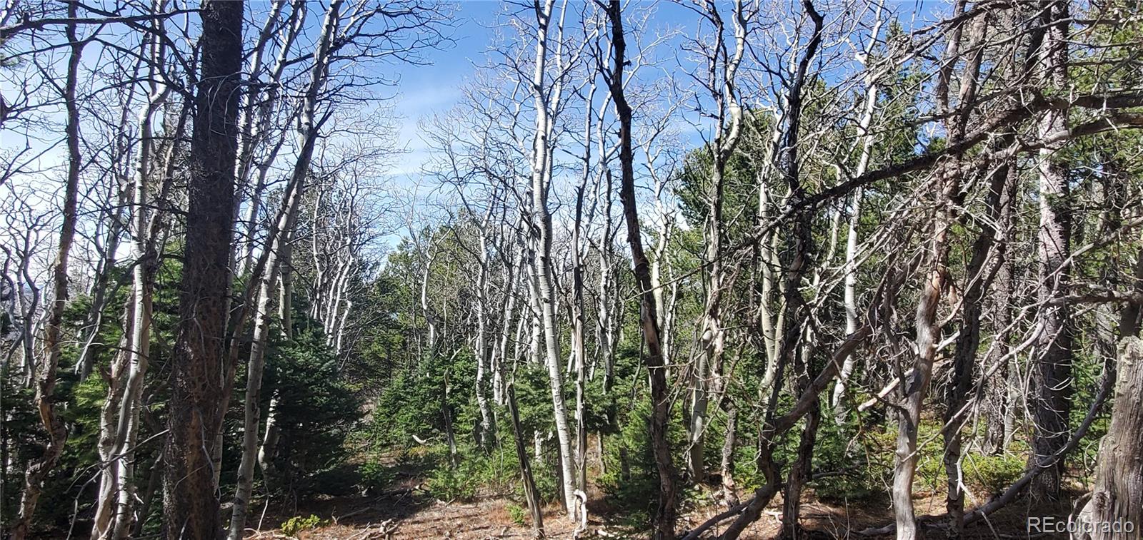 Lot 2560 Grojean Drive