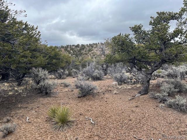 Lot 2087 Sandoval Road