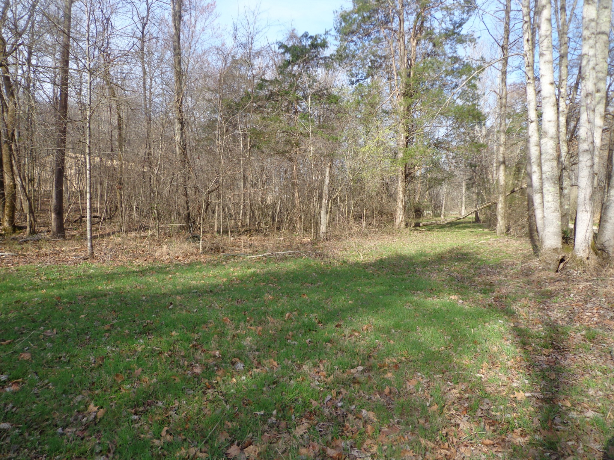 0 Ennis Branch Road