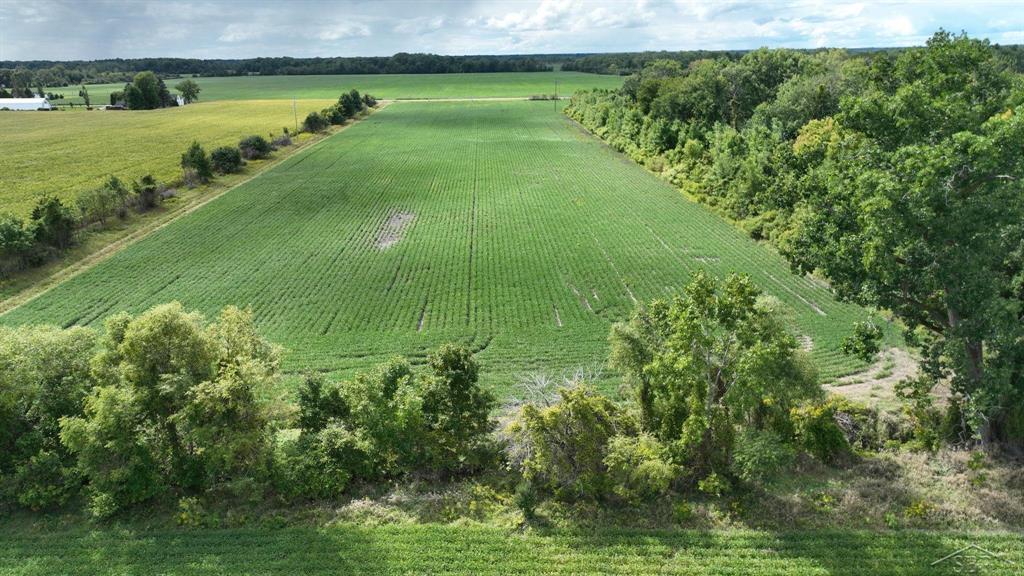 Looking for farmland or recreation, hunting land?   How about both! We have the answer for you. This 80 acres is a combination of great farmland, currently being farmed, no lease attached and you'll certainly spot a plethora of deer and other wildlife.