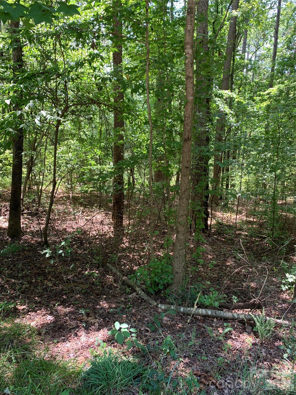 220 Lakewood Court