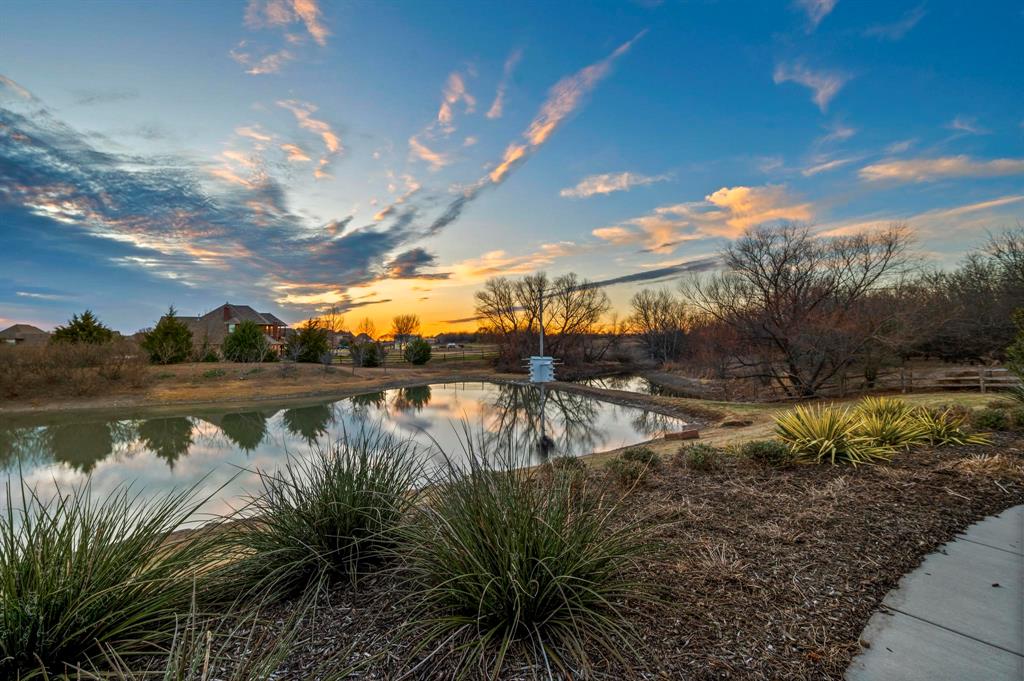 12117 Wild Bill Court