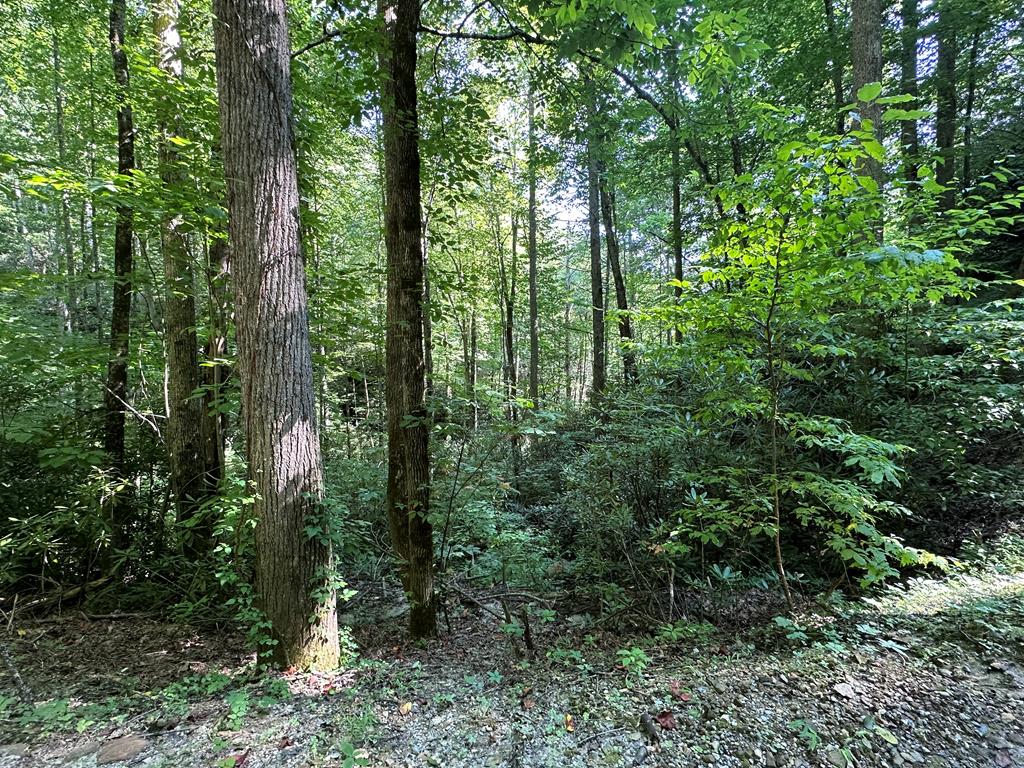 Nestled in the serene mountain community of Stecoah, this unrestricted 4.76-acre lot offers a rare opportunity to own land in the heart of Graham County, North Carolina. Ideal for a full-time residence, vacation home, or investment property, this private mountain land provides both seclusion and convenience. Located just 20 minutes from the Nantahala Outdoor Center and downtown Robbinsville, and approximately 25 minutes from Bryson City, this property offers easy access to outdoor recreation, hiking, rafting, and mountain town amenities. Surrounded by peaceful, scenic landscapes, this Western North Carolina land is perfect for those seeking quiet, privacy, and the natural beauty of the Smoky Mountains.