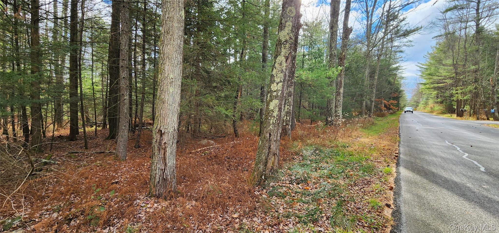 00 Mongaup Road
