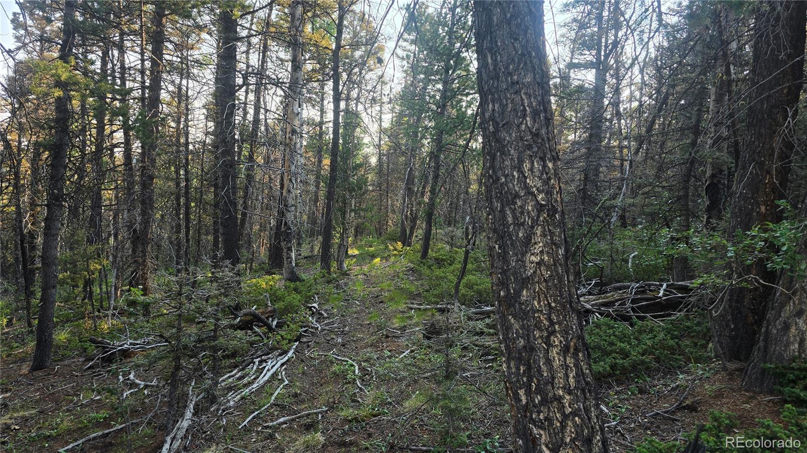 Lot 5768 Clawson Road