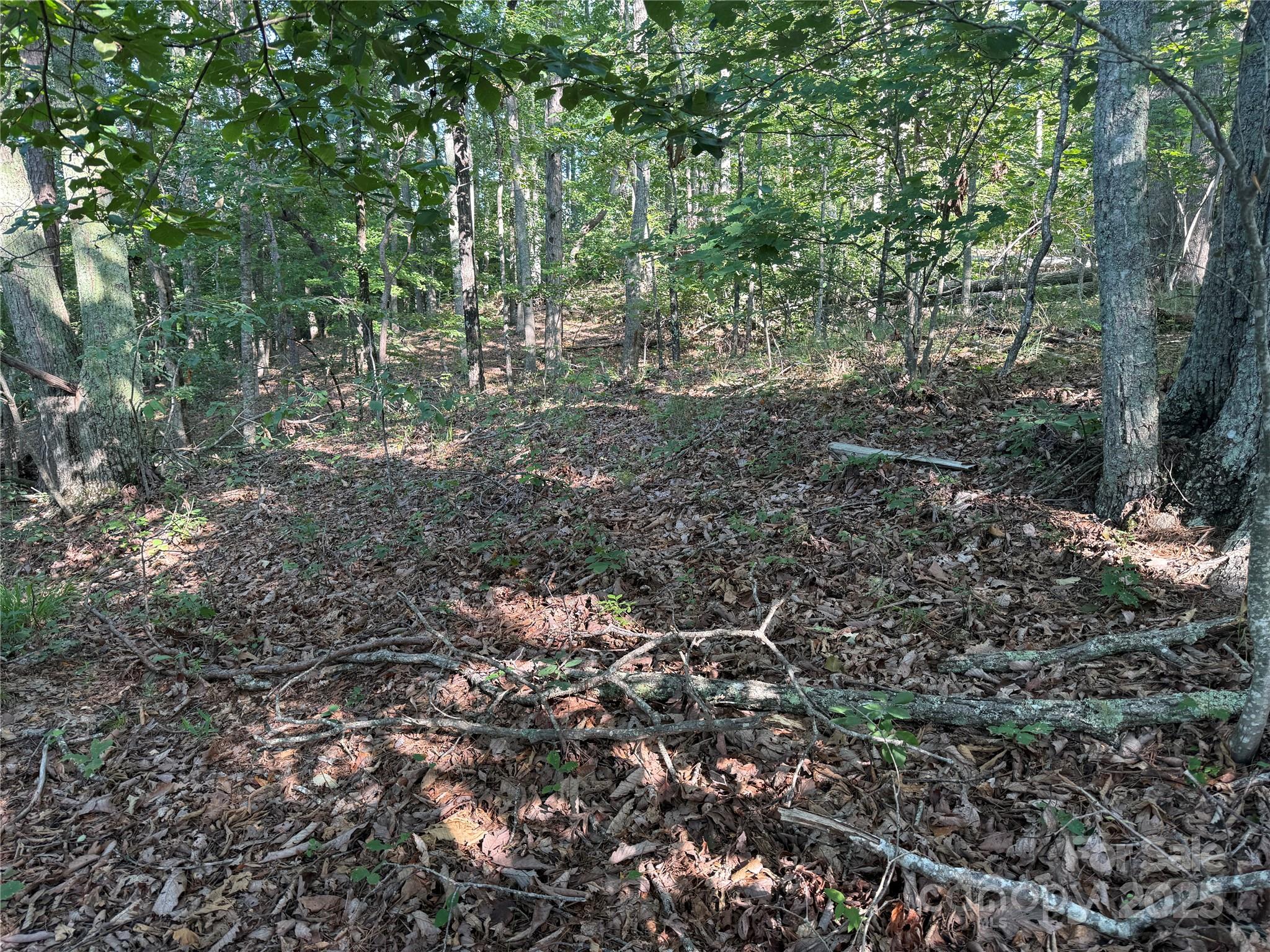 Lot 333 Scenic Vista Drive 333
