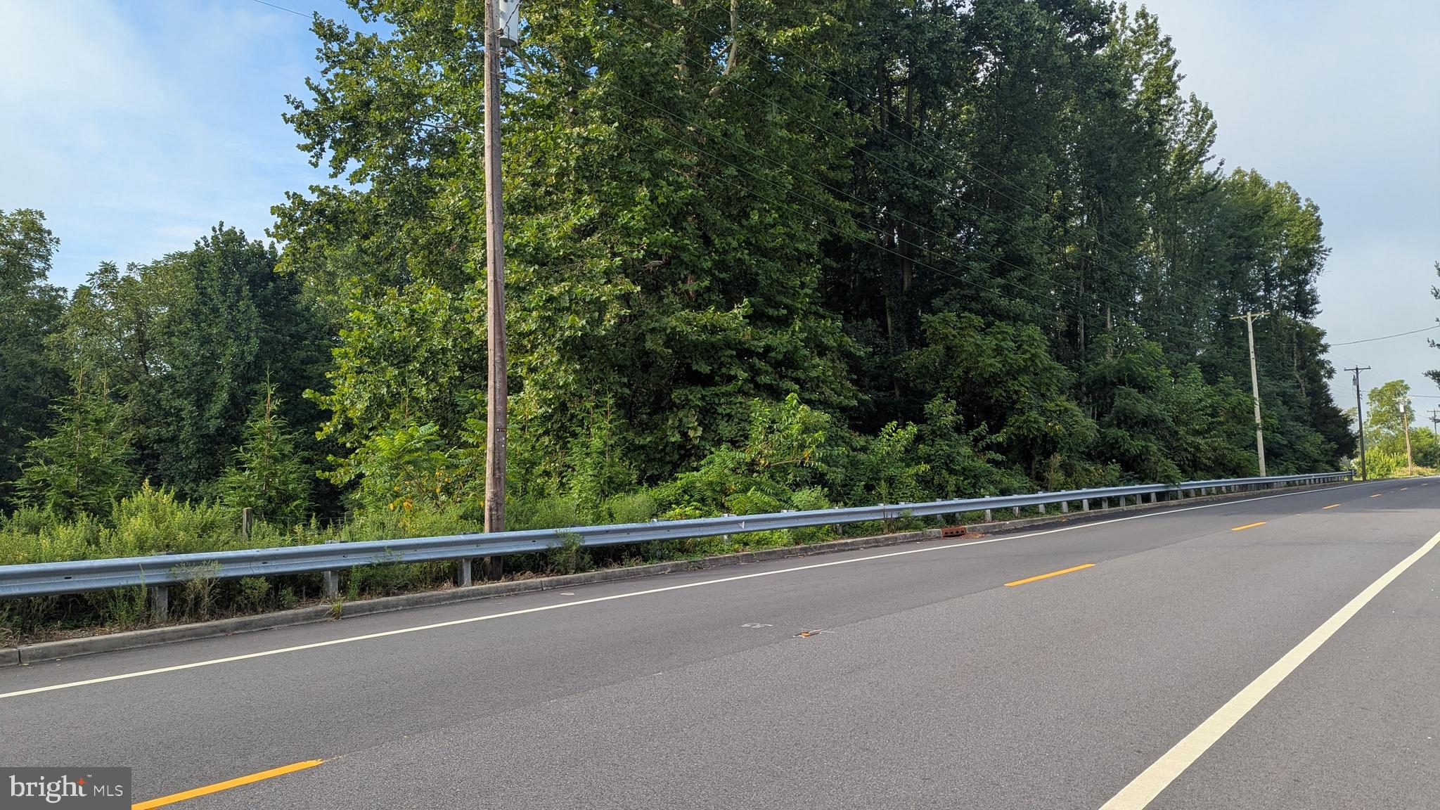 Great 1.1 acre wooded lot located in Alloway Twp!  Quiet area with plenty of wildlife close by! Buyer is responsible for conducting their own due diligence regarding desired use, zoning, testing, township approvals, permits and to confirm with Alloway Twp Housing Office that this 1.1 acre lot is grandfathered in as a possible building lot.  Please do not walk the property without contacting the listing agent first.