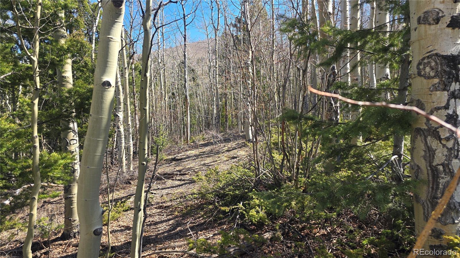 Lot 6708 Debbie Road