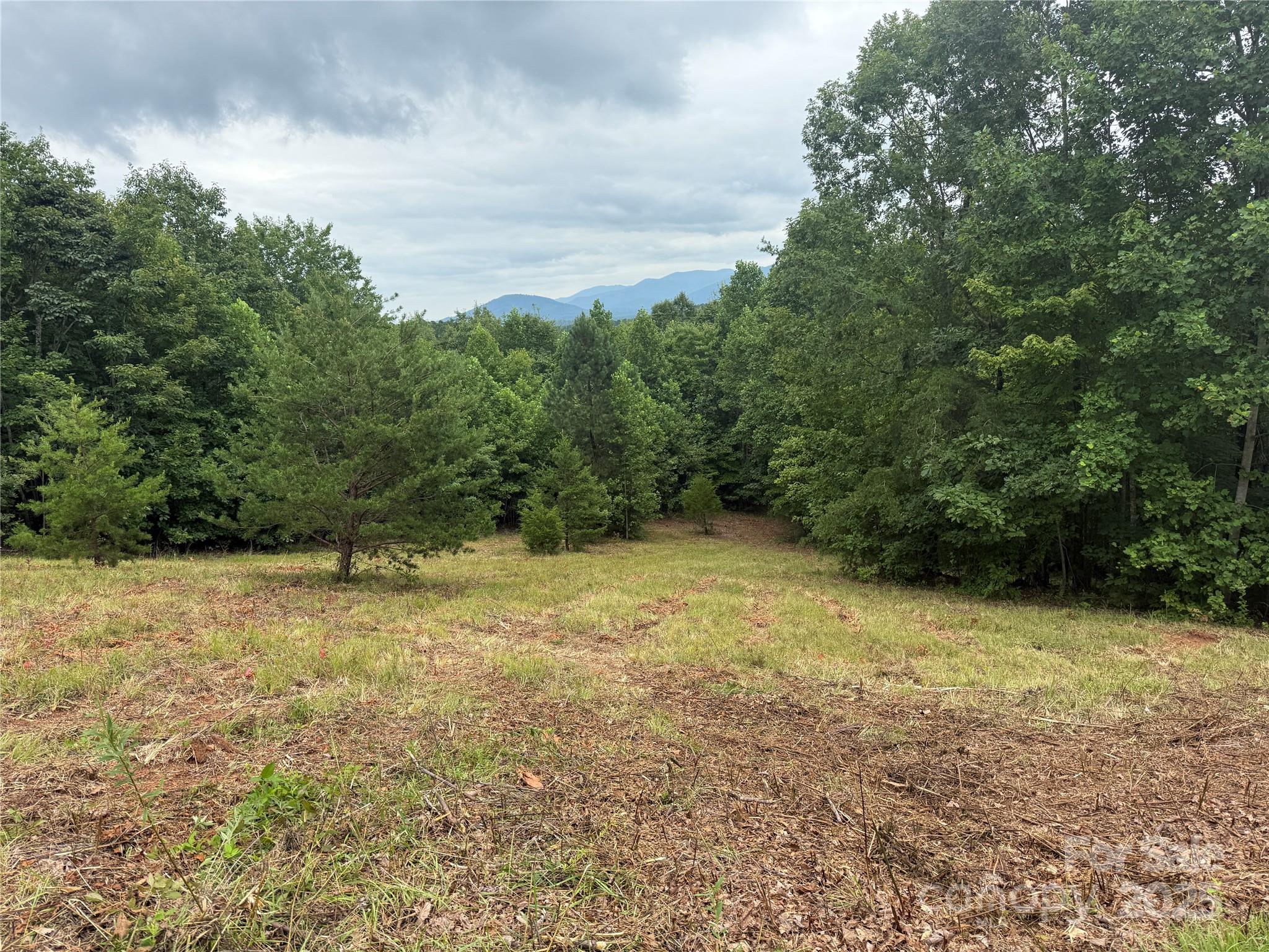 166 Coal Pit Mountain Drive 359