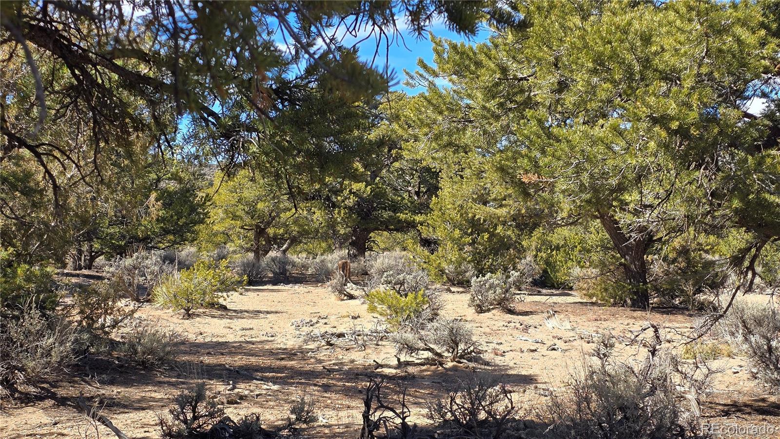 Lot 409 Williams Road