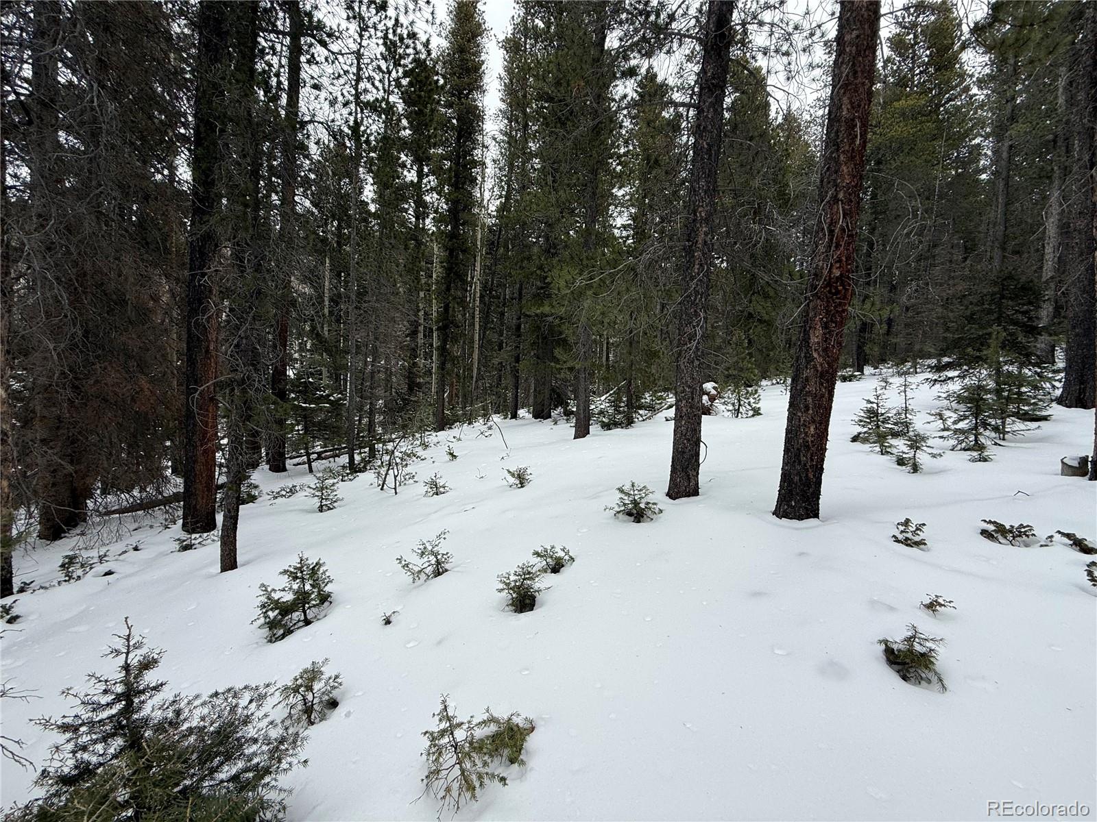 Lot 2805 Moir Drive