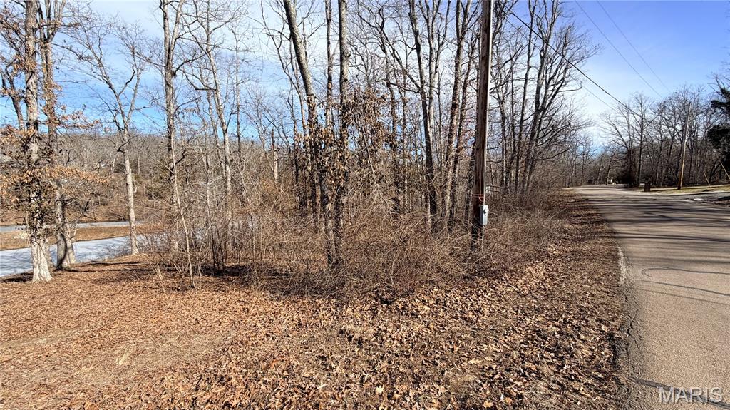 Lot 8 S Deer Trail