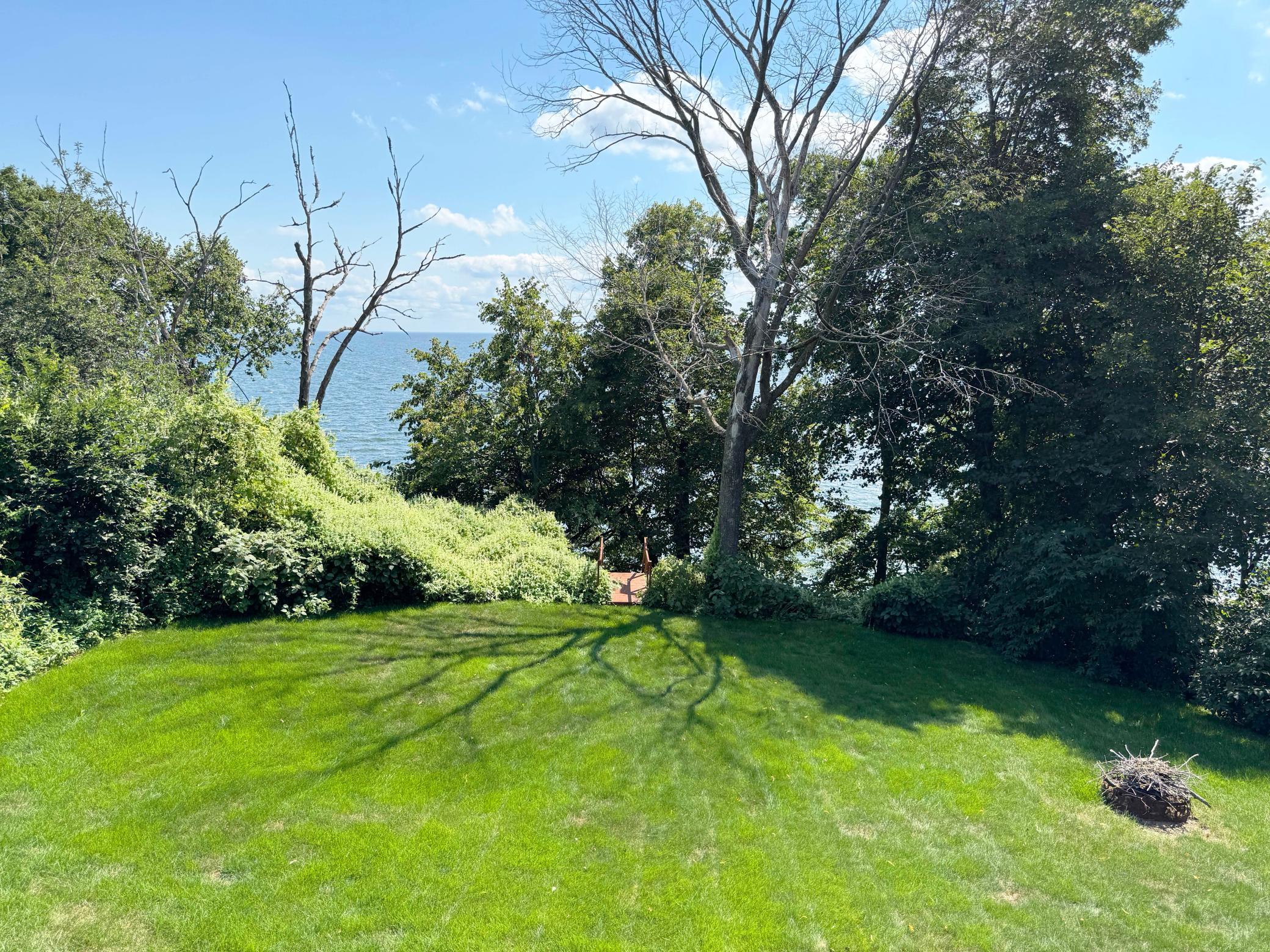 44205 Conifer Street