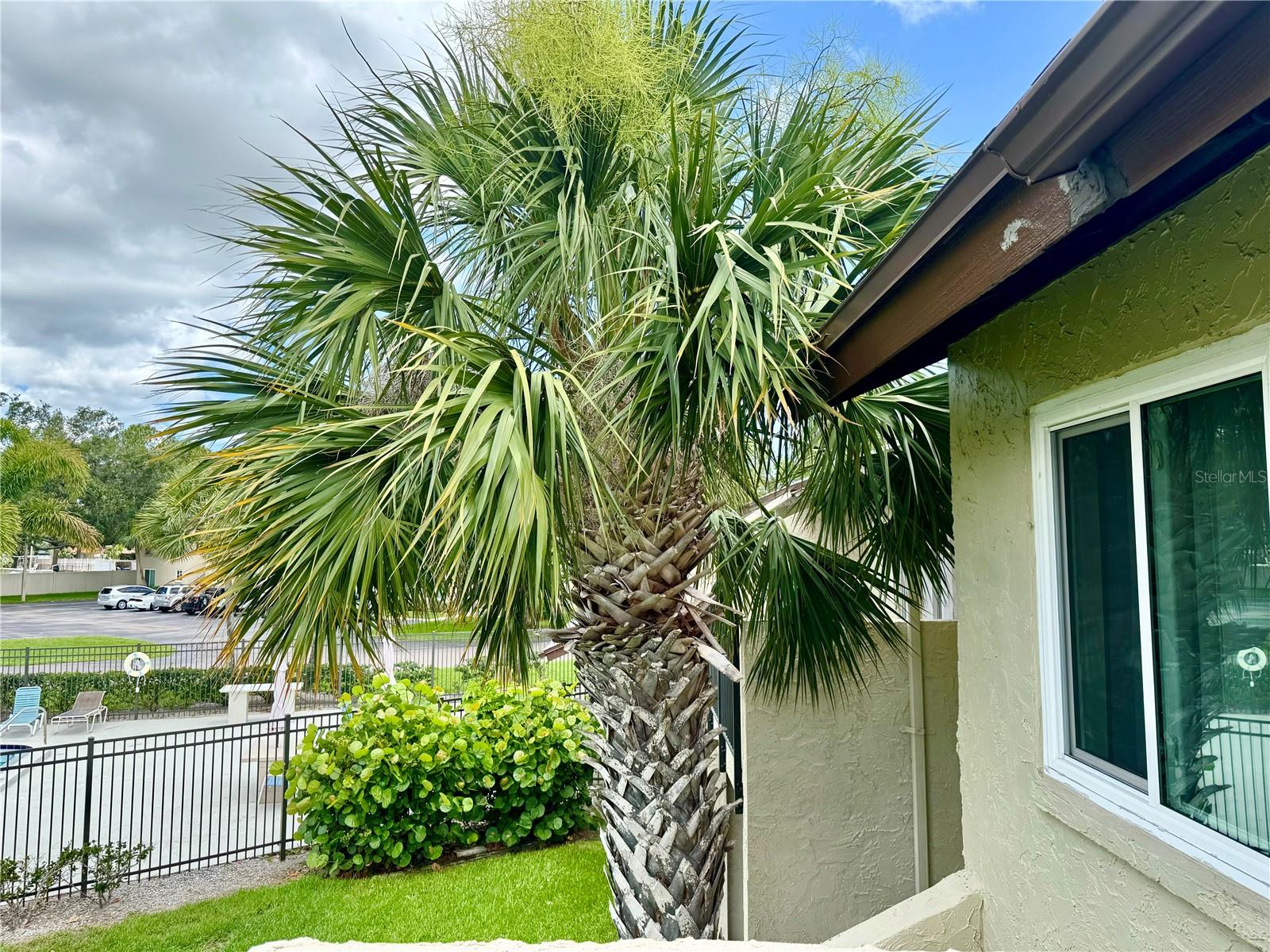 4215 E Bay Drive 1707C
