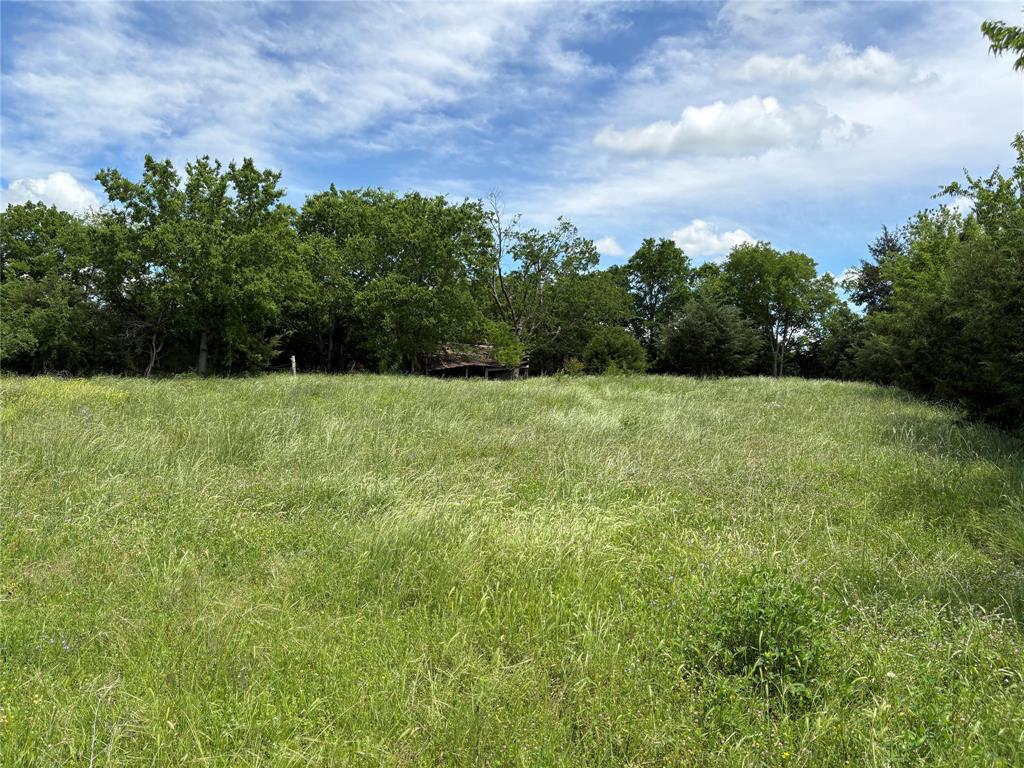Hard to find small tract with minimal restrictions and utilities available now! Beautiful 4 acres of rolling nature that is ready for a new home or a newer mobile home. This tract has scattered trees for some privacy and good native grass that will allow for a few animals. Located only about 6 miles from Sulphur Springs for quick trip to town if needed. Enough room for a home, shop, barn, garden and some animals to enjoy.   There is a list of minimal restrictions on mls docs. Barndos and newer mobiles allowed.