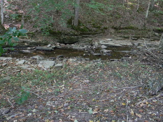 0 Traylor Branch Road