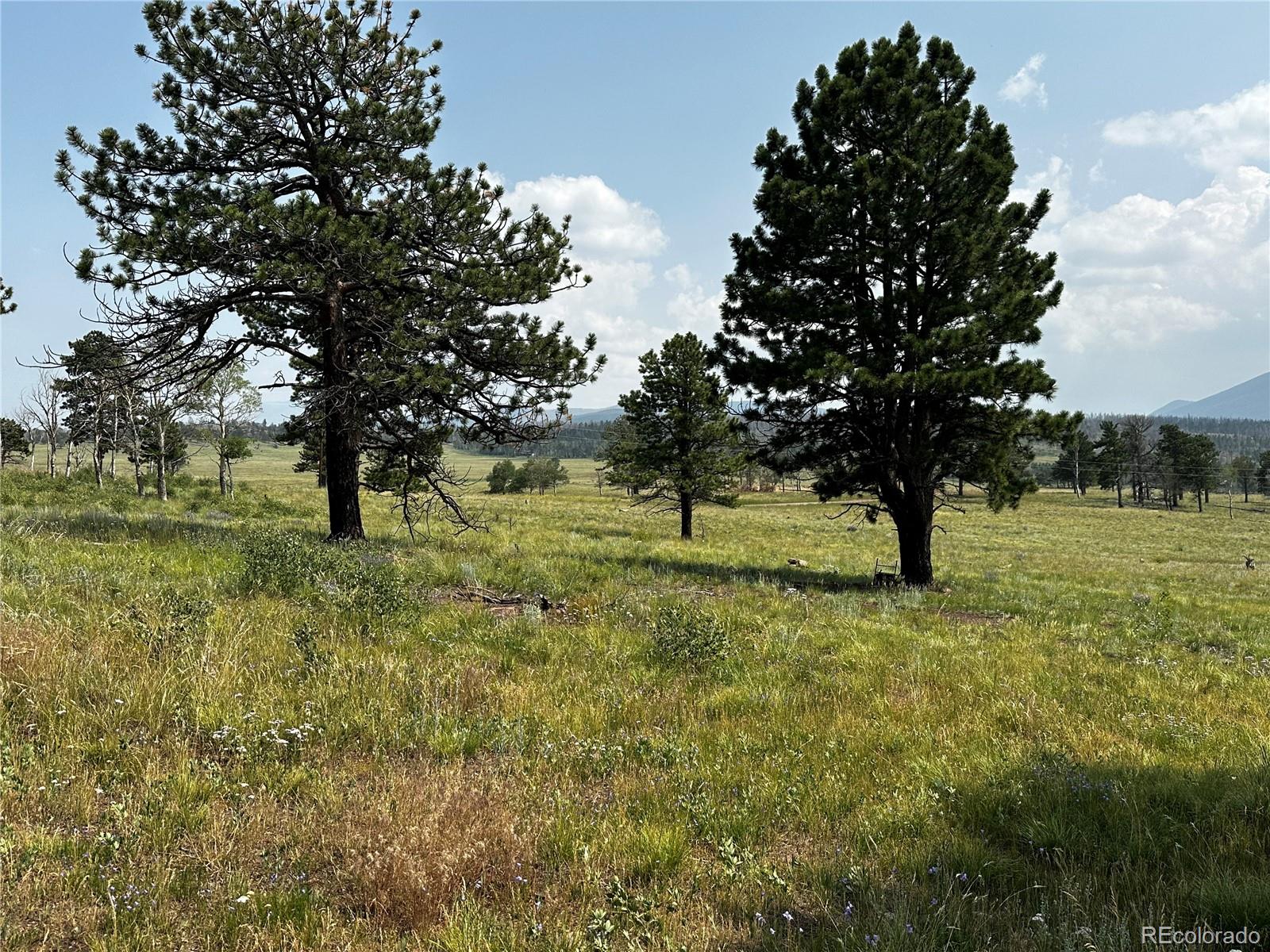 1718 Mara Loop