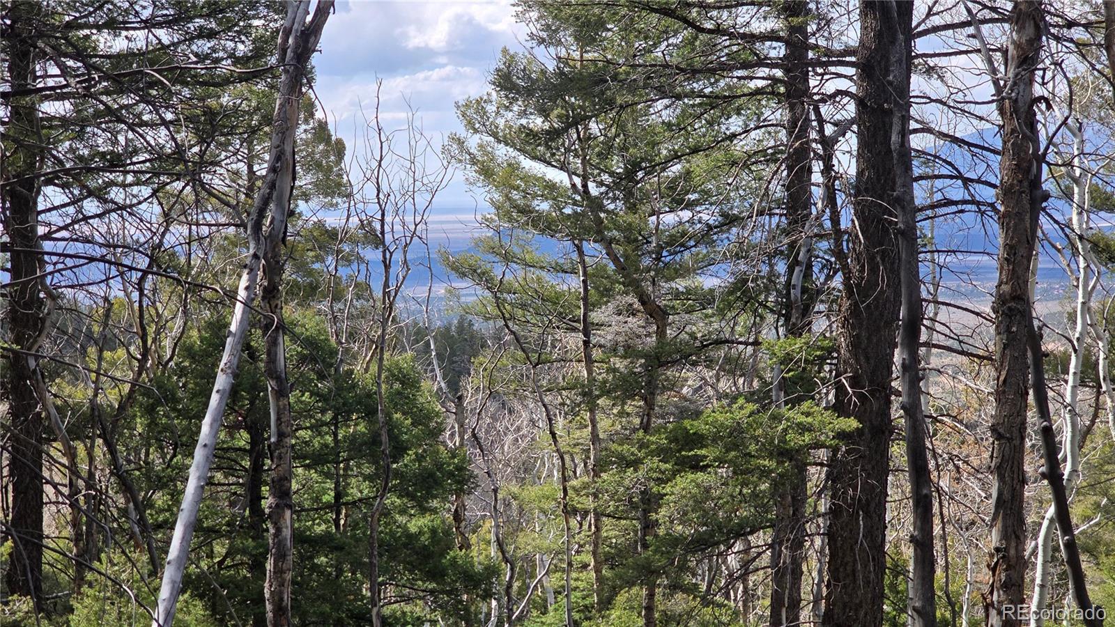 Lot 5261 Scott Road