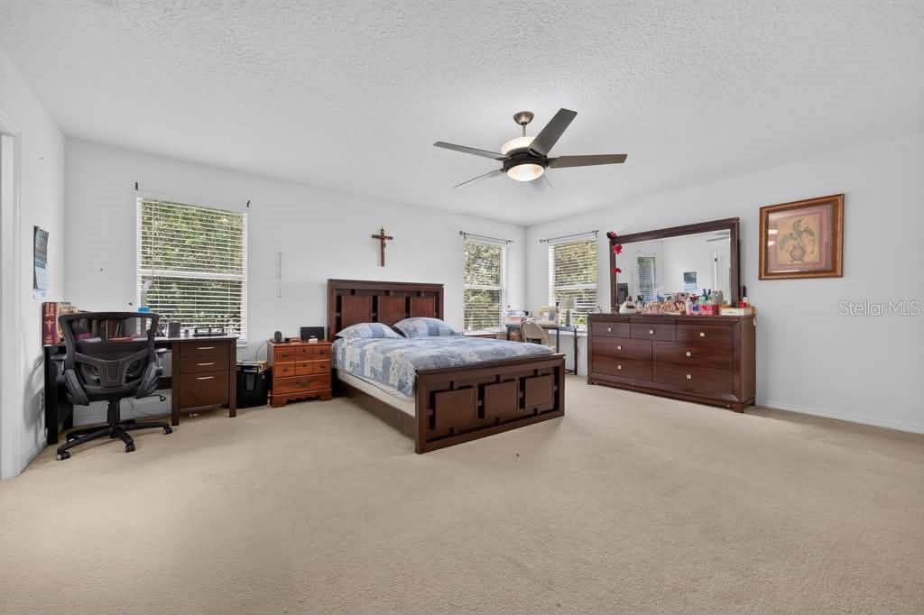 241 Andover Drive