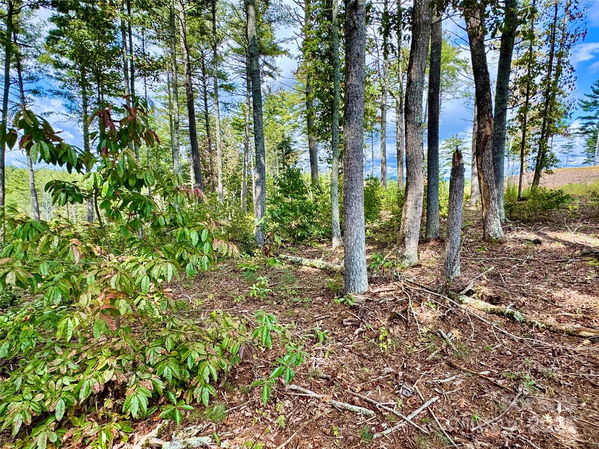 2088 Thoroughbred Way Lot G25