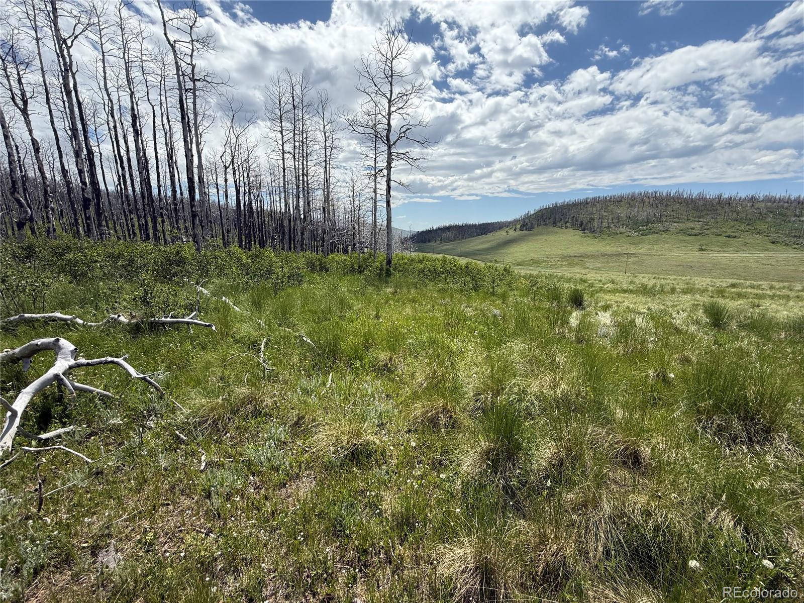 Lot 428 Powers Road