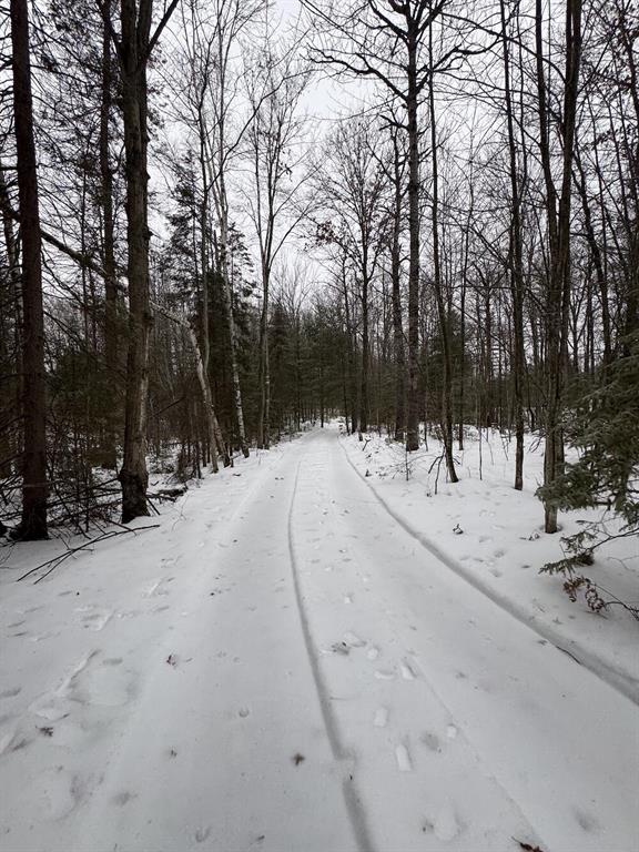 Escape to your own Up North retreat with this exceptional hunting property, perfectly located just minutes from Houghton Lake. Enjoy the best of both worlds--seclusion and tranquility with close proximity to excellent fishing, outdoor recreation, and all the conveniences of town.The property features a gated entrance off the blacktop and an extensive network of trails throughout, making it ideal for exploring year-round. A true hunter's paradise, the land is loaded with wildlife, including deer, turkey, bear, predators, and waterfowl. The on-site beaver pond adds to the natural beauty while providing outstanding waterfowl hunting and trapping opportunities as well. The property has a nice roll to most of it with some beautiful mature timber. There are excellent building spots if someone wanted to build their forever home or a cabin to get away to with electricity on the road.Whether you're looking to hunt, fish, ride, or simply enjoy the outdoors, this property truly offers it all.