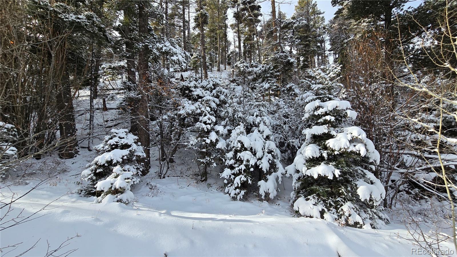 Lot 5540 Joy Road