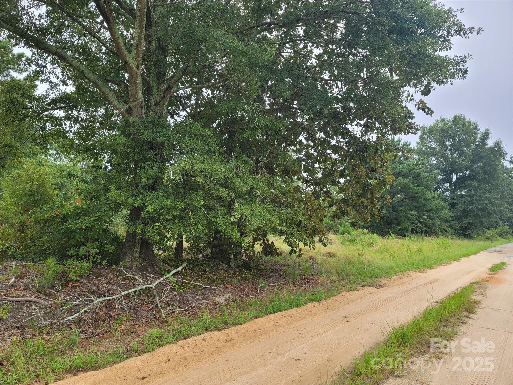 Don't miss this opportunity to own a little piece of heaven on earth!! This Ten (10) acre parcel is unspoiled and waiting for your dream home! Set back away from the road and teeming with wildlife. this beautiful property offers mature trees, sandy soil and much peace and quiet. The address is pending, please use 1276 Windblown Rd. as a reference.