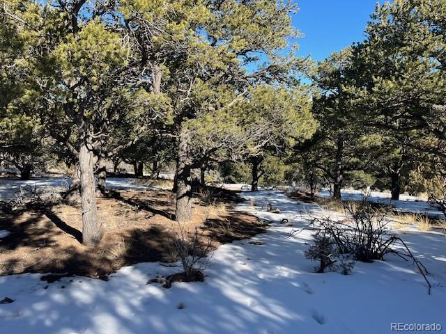 Lot 7898 Tiernan Road