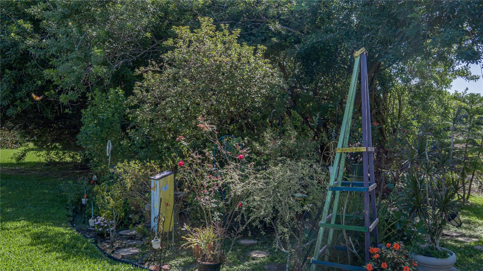 6101 Laurel Creek Trail