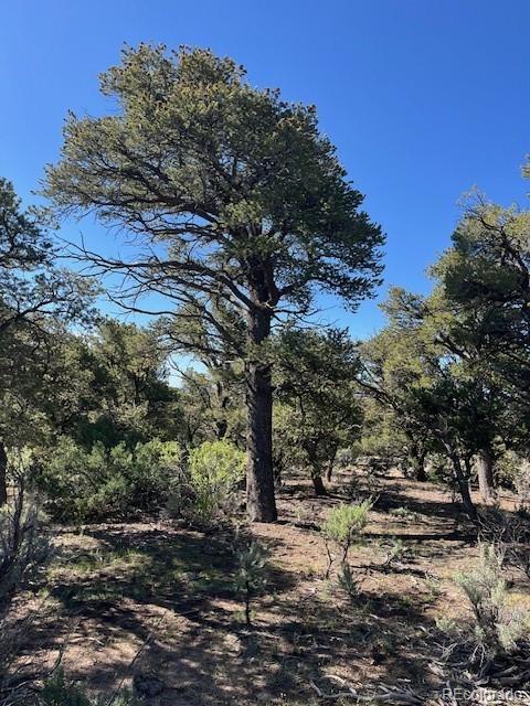 Lot 4 Elk Park Road